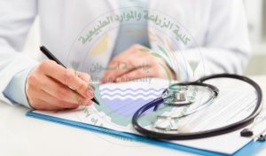 Medical Examination Table