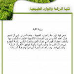 رؤية الكلية