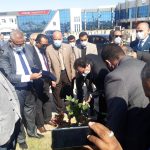 زراعة الأشجار المثمرة في جميع الأماكن بالجامعة
