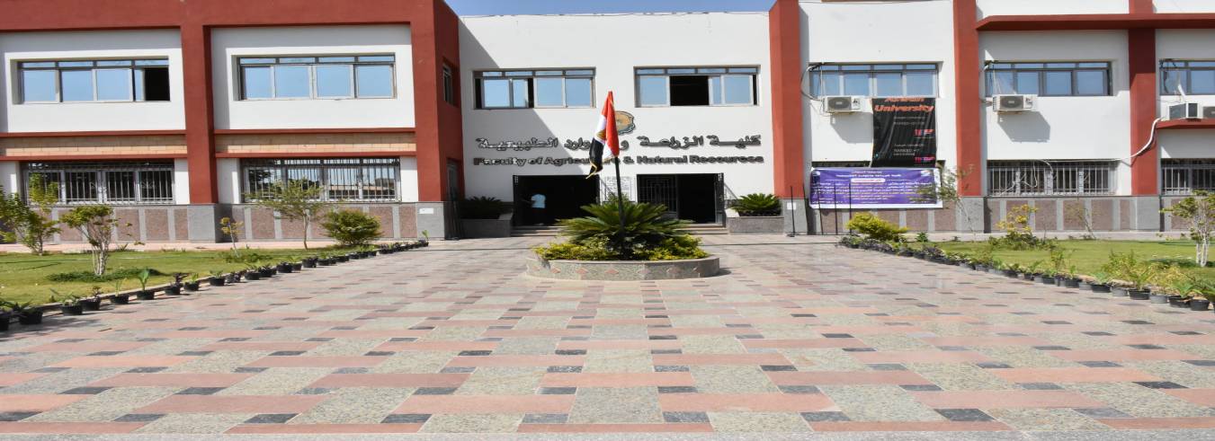 المبنى الرئيسي للكلية